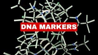 DNA Markers| Explained| Genetic Engineering