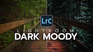 How to Create DARK & MOODY Style Photos in Lightroom