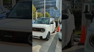 "Cheapest mini EV battle | Wuling Mini vs Geely Panda| Choose your favourite