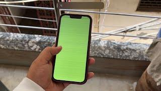 iPhone 13 Pro Green Screen issue Problem & Solution for FREE - Apple Store Experience