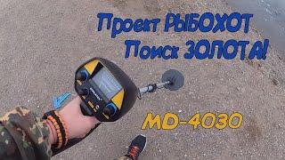 Ищем Золото на пляже MD-4030,Хакасия,Аскизский тракт(9 километр)