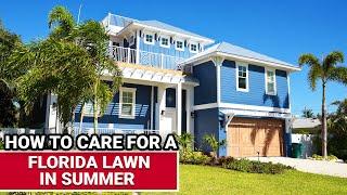 How To Care For A Florida Lawn In Summer - Ace Hardware