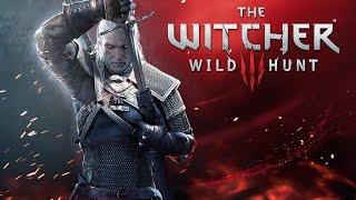 Witcher 3 | (semi) Max Settings | Q6600 | GTX660 | 8GB | 1440x900