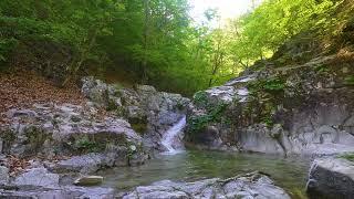 Morning Forest Sounds, Mountain Waterfall, Birds Chirping,  Nature Sounds