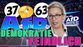 Ist die AfD ein Problem ?