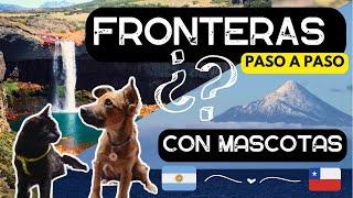 ¿Cómo CRUZAR FRONTERAS con MASCOTAS Paso a Paso ~ Entre ARGENTINA  y CHILE 