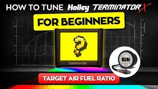 how to tune holley terminator x for beginners // target air fuel ratio  - Holley EFI