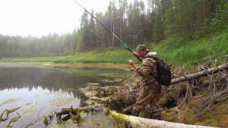 ЧТО СТАЛО с ЛЕСНЫМ ОЗЕРОМ? РАЗВЕДКА БОЕМ. РЫБАЛКА на ТАЁЖНОМ ОЗЕРЕ.