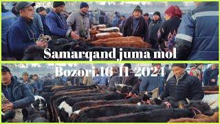 16-11-2024 Samarqand Pastdargom juma mol bozori