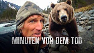 Warum der Grizzly-Mann nicht überlebt hat: Vor laufender Kamera verschlungen