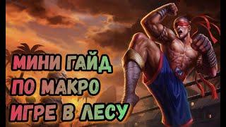 ОСНОВЫ МАКРО ИГРЫ В ЛЕСУ ИХ ДОЛЖЕН ЗНАТЬ КАЖДЫЙ! | League Of Legends: Wild Rift