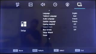 HiSense LED TV (H40BE5000) - Change Audio Language