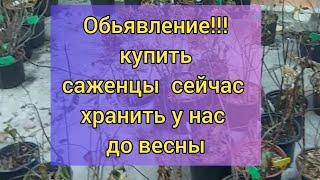 Идем на встречу нашим покупателям! Купить сейчас ,а отправим в марте.