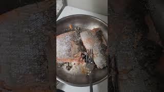 Pure Muslce Building Protien Food Wild Sockeye Salmon West Coast Wolverine Style ️