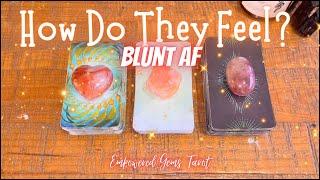 Pick-a-Card: How do they feel? Blunt AF! + EXTENDED: What's next for this connection?
