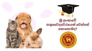 How to become a veterinarian in Sri Lanka?