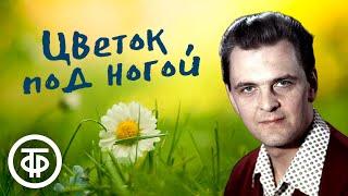 Юрий Яковлев читает рассказ "Цветок под ногой" Леонида Андреева (1986)