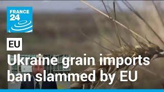 EU slams Poland, Hungary move to ban Ukrainian grain imports • FRANCE 24 English