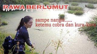 Casting gabus di rawa-rawa berlumut || Lady Angler