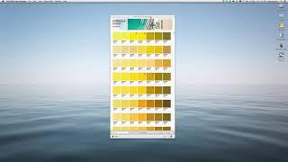 PANTONE COLOR MANAGER Software