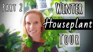 Winter Houseplant Tour Part 2 | Winter 2020 Houseplant Tour | Indoor Plant Tour