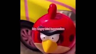 “I tell you what” Angry Birds addition