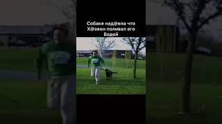 Самое милое видео в мире