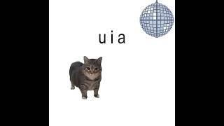 uia cat cover Spinning Cat - i can’t get uia out of my head #cats #fyp #foryou #uiacatcover