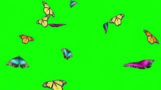 Butterfly Flying Effects Green Screen video HD | Chroma Key . butterfly's animation on green screen