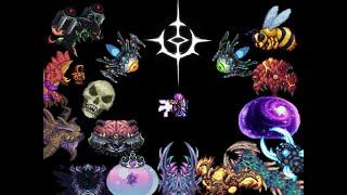 The Complete Terraria Calamity (Infernum) Experience (Every Single Calamity Boss)