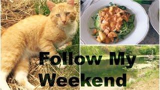 FOLLOW MY WEEKEND | Bootsfahrt durch Leipzig, Streuner & Zoodles  | Erdbeerliese