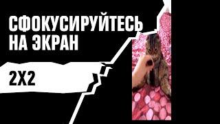 2Х2 ПРЕДУПРЕЖДАЕТ: Сфокусируйся!