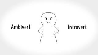 11 Signs You're an Ambivert