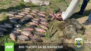 300 ТЫСЯЧ ЗА 65 КАРАСЕЙ