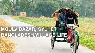  BANGLADESH, VILLAGE LIFE || Walking in Sylhet Moulvibazar Village || Village Natural Beauty || 4K