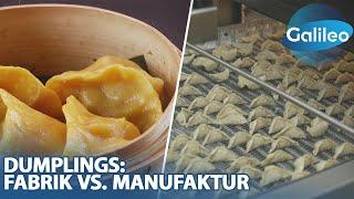 Dumplings: Fabrik vs. Manufaktur