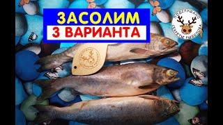 Рецепт засолки горбуши  Как заслолить лосося, если переморожен  3 способа засолить горбушу