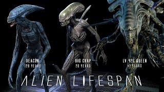 Lifespan and Oldest Ever Xenomorph Specimens