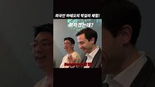 난생처음 지역별 막걸리를 마셔본 외국인 반응 #외국인 반응 #막걸리먹방