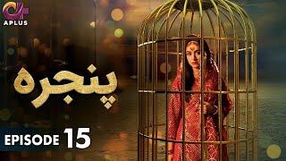 Pakistani Drama | Pinjra - Episode 15 | Aplus Gold | Yumna Zaidi, Nauman Aijaz | CZ1O