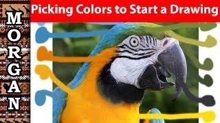 Picking colors to start a drawing - color picker