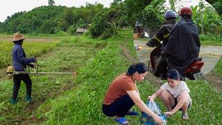 Preparing land to plant vegetables and going to parents' meetings for her daughter - Ly Tieu Tuyet