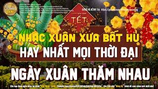 Nhạc Xuân Xưa Bất Hủ Nghe Là Thấm - Nhạc Xuân Hải Ngoại 2024 Bồi Hồi Nhớ Tết Xưa