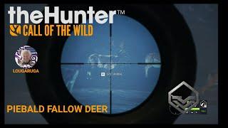 Piebald Fallow Deer theHunter Call of the Wild