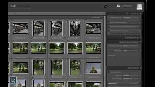 Lightroom Import Dialog - Don't Import Suspected Duplicates