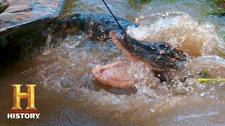 Swamp People: Gator Redemption for Chase (Season 8) | History