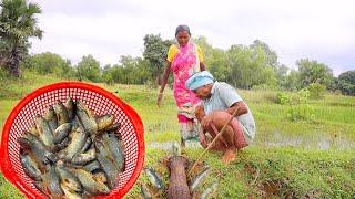 santali tribe old couple catching fish in field and cooking fish curry for lunch