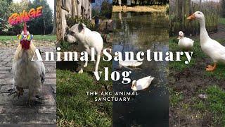 The Beginning of The Arc Animal Sanctuary #1