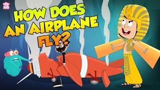 How Does An Airplane Fly? | Evolution Of Planes | The Dr Binocs Show | Peekaboo Kidz