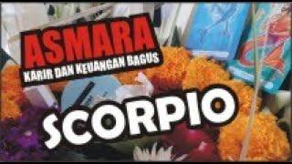Ramalan Tarot Scorpio Akhir Juni di Awal Juli 2021, Asmara, Karir dan Keuangan Bagus
